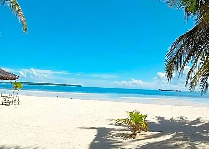Skott's Comfy Hotel Santa Fe (Cebu)